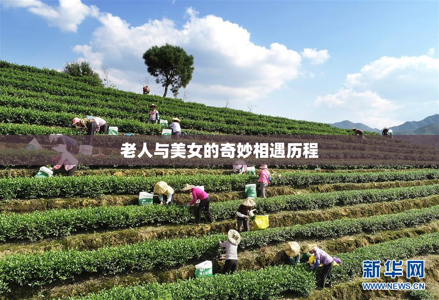 老人与美女的奇妙相遇历程