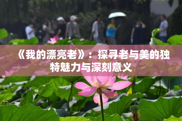 《我的漂亮老》：探寻老与美的独特魅力与深刻意义
