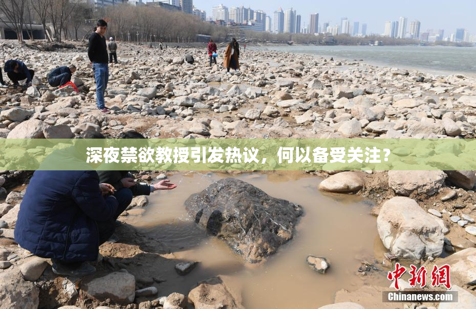 深夜禁欲教授引发热议，何以备受关注？