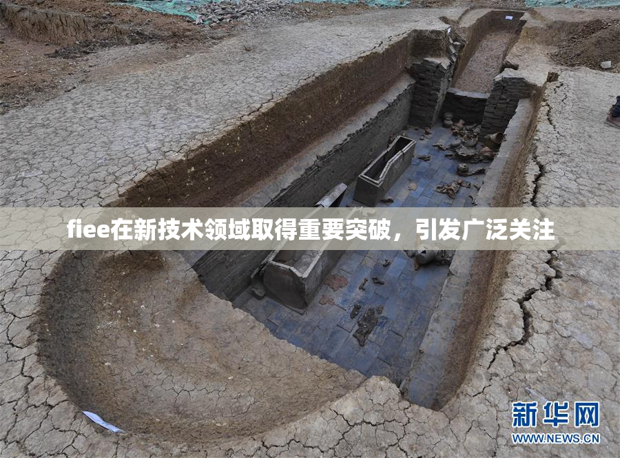 fiee在新技术领域取得重要突破，引发广泛关注