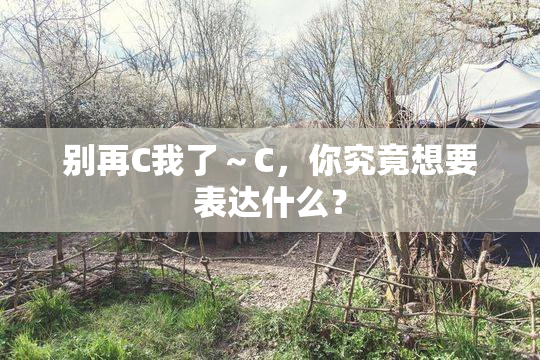 别再C我了～C，你究竟想要表达什么？