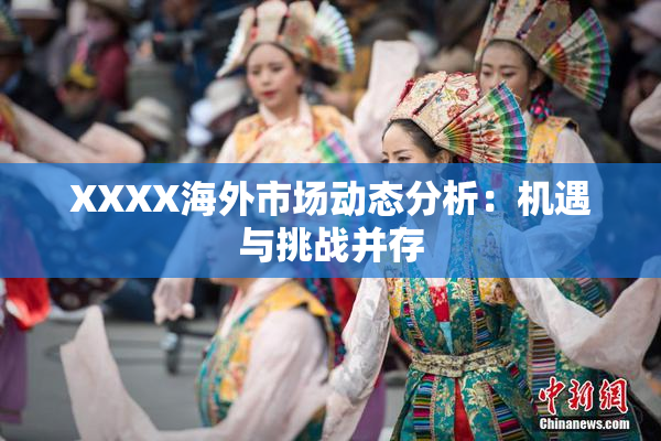 XXXX海外市场动态分析：机遇与挑战并存