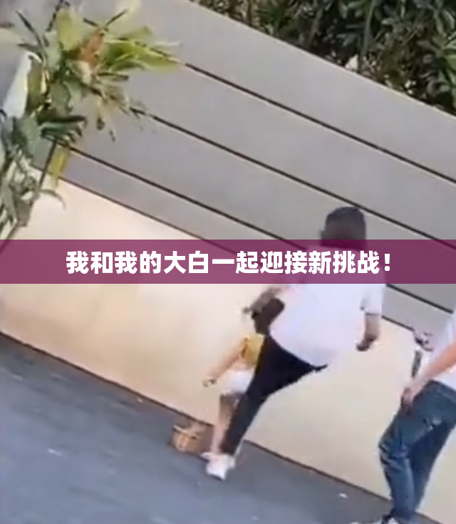 我和我的大白一起迎接新挑战！