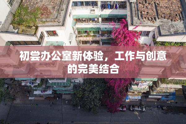 初尝办公室新体验，工作与创意的完美结合