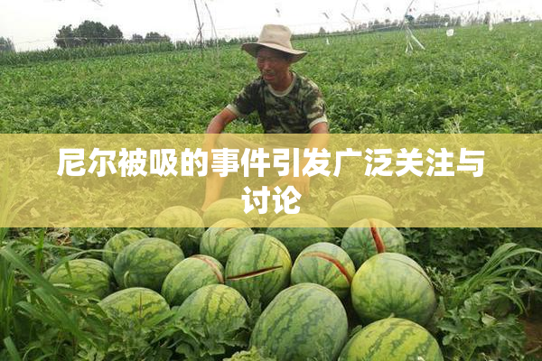 尼尔被吸的事件引发广泛关注与讨论