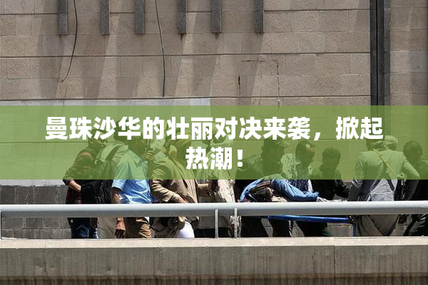 曼珠沙华的壮丽对决来袭，掀起热潮！