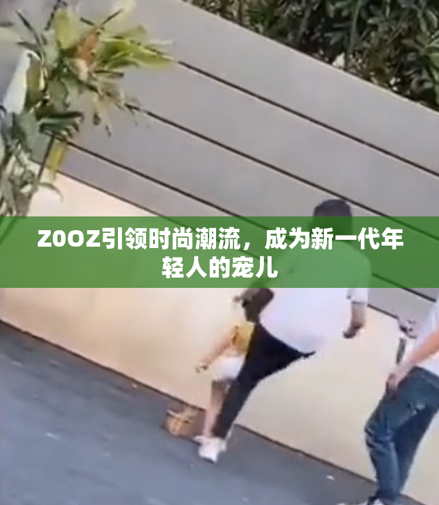 Z0OZ引领时尚潮流，成为新一代年轻人的宠儿
