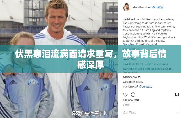 伏黑惠泪流满面请求重写，故事背后情感深厚
