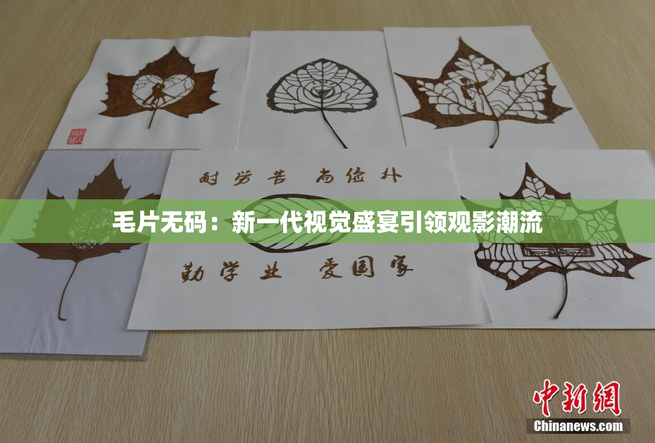 毛片无码：新一代视觉盛宴引领观影潮流