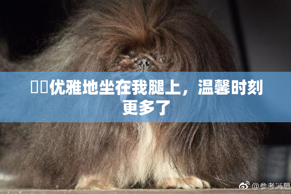 妺妺优雅地坐在我腿上，温馨时刻更多了