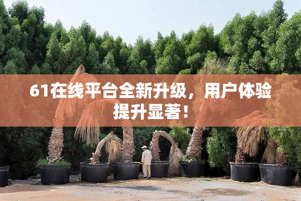 61在线平台全新升级，用户体验提升显著！