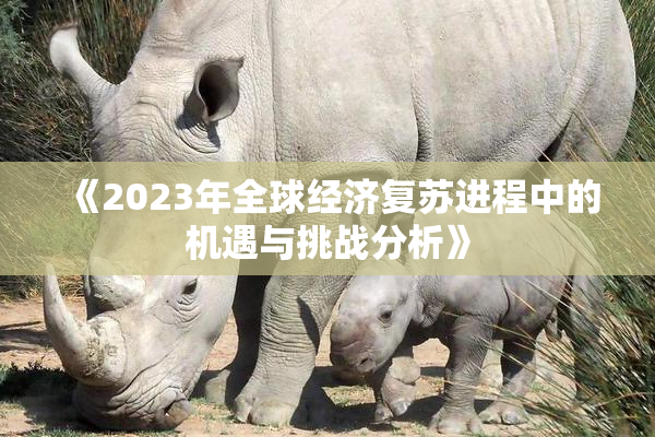 《2023年全球经济复苏进程中的机遇与挑战分析》