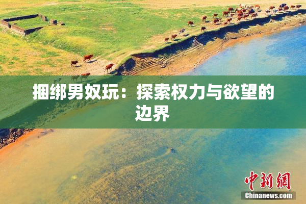 捆绑男奴玩：探索权力与欲望的边界