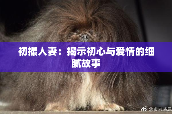 初撮人妻：揭示初心与爱情的细腻故事