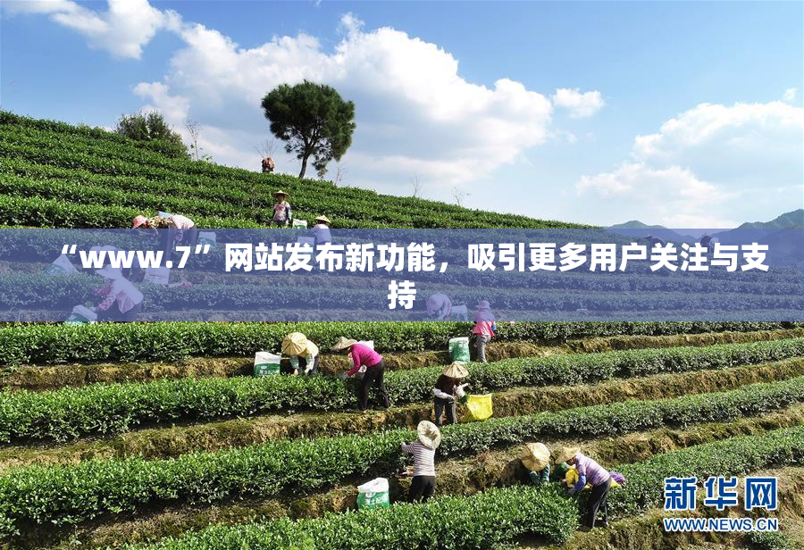 “www.7”网站发布新功能，吸引更多用户关注与支持