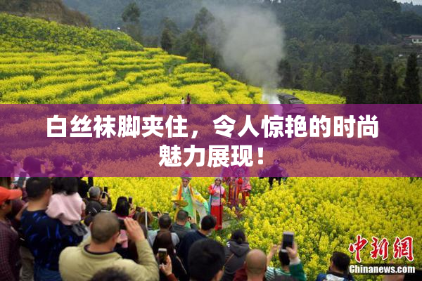 白丝袜脚夹住，令人惊艳的时尚魅力展现！
