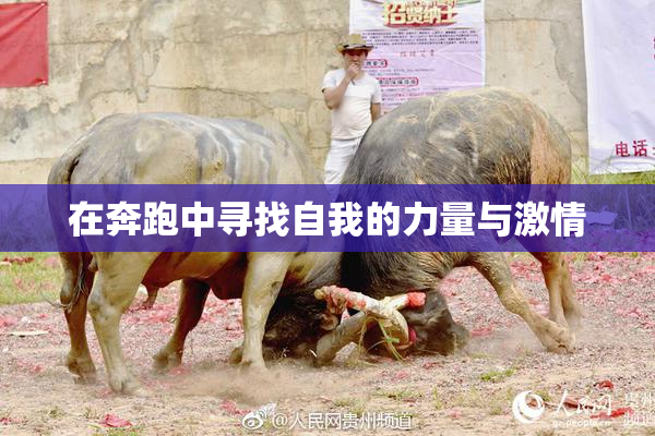 在奔跑中寻找自我的力量与激情