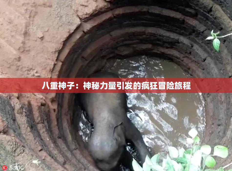 八重神子：神秘力量引发的疯狂冒险旅程