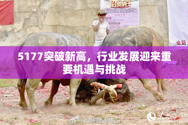 5177突破新高，行业发展迎来重要机遇与挑战