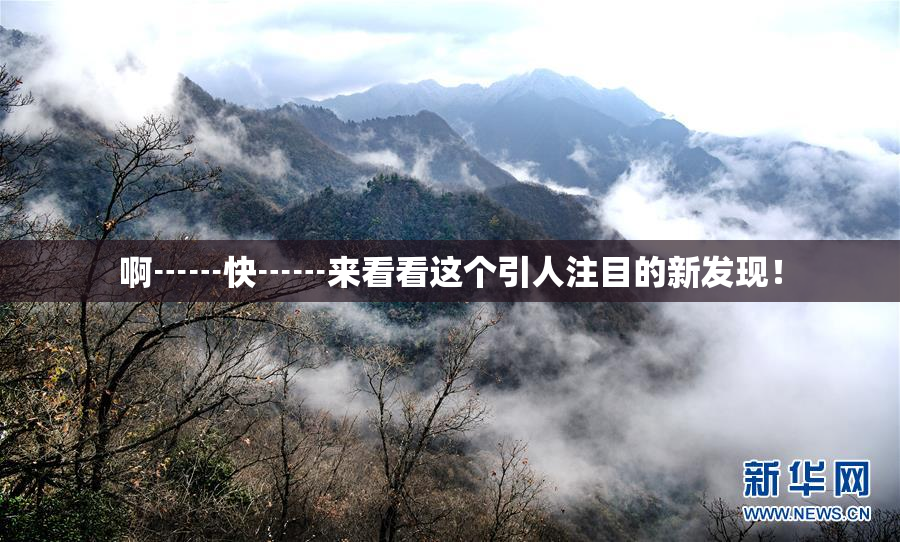 啊┅┅快┅┅来看看这个引人注目的新发现！
