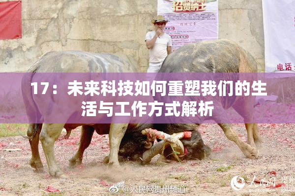 17：未来科技如何重塑我们的生活与工作方式解析