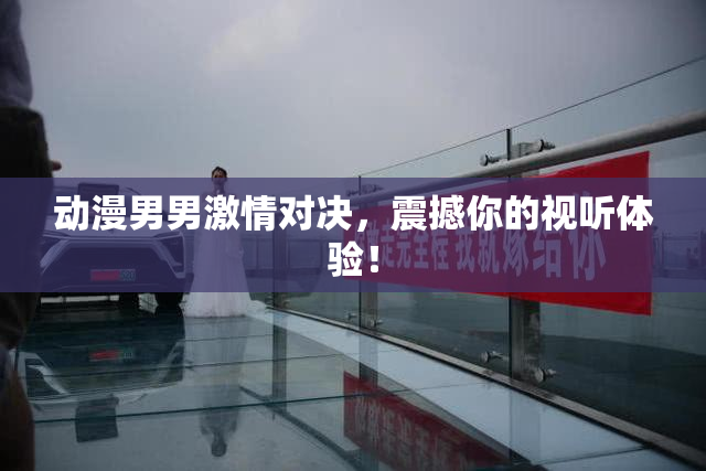 动漫男男激情对决，震撼你的视听体验！