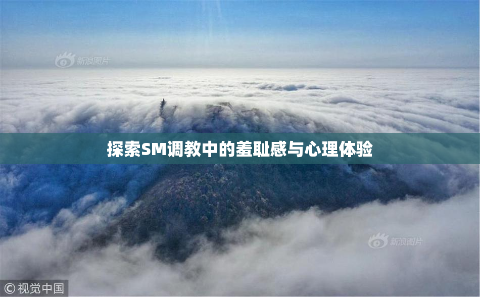 探索SM调教中的羞耻感与心理体验