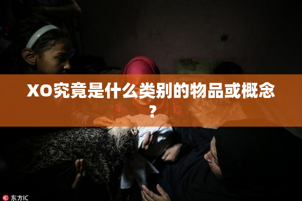 XO究竟是什么类别的物品或概念？