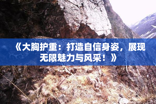 《大胸护重：打造自信身姿，展现无限魅力与风采！》