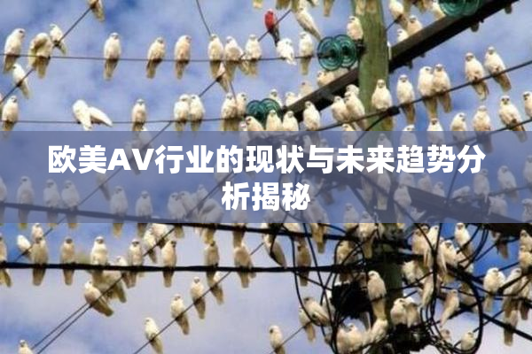 欧美AV行业的现状与未来趋势分析揭秘