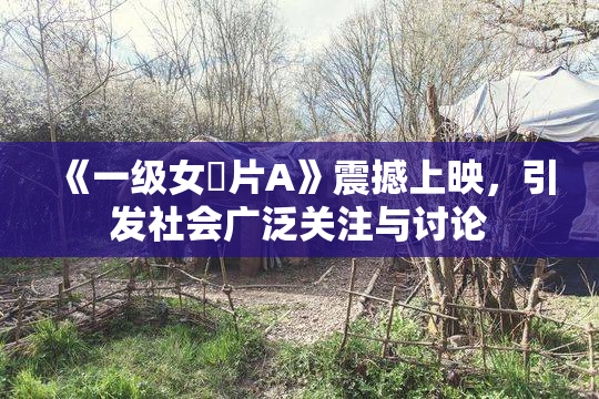 《一级女婬片A》震撼上映，引发社会广泛关注与讨论