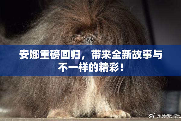 安娜重磅回归，带来全新故事与不一样的精彩！
