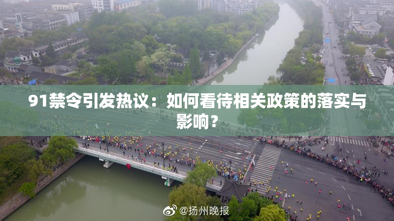 91禁令引发热议：如何看待相关政策的落实与影响？