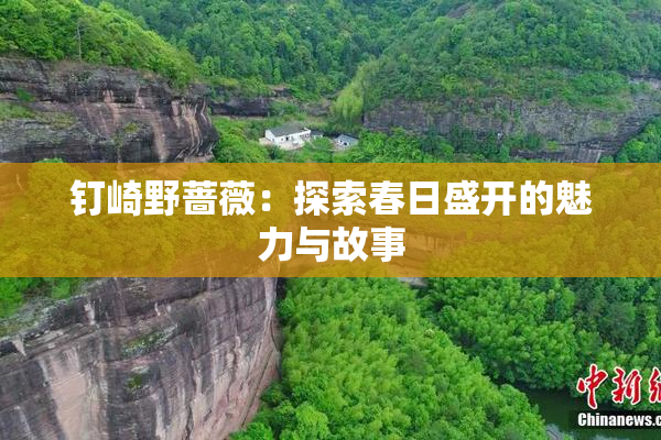 钉崎野蔷薇：探索春日盛开的魅力与故事