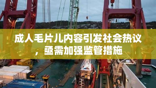 成人毛片儿内容引发社会热议，亟需加强监管措施