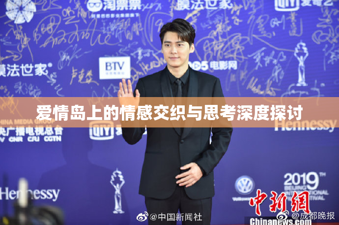 爱情岛上的情感交织与思考深度探讨