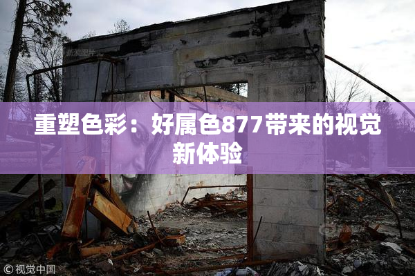 重塑色彩：好属色877带来的视觉新体验