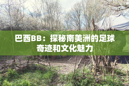 巴西BB：探秘南美洲的足球奇迹和文化魅力