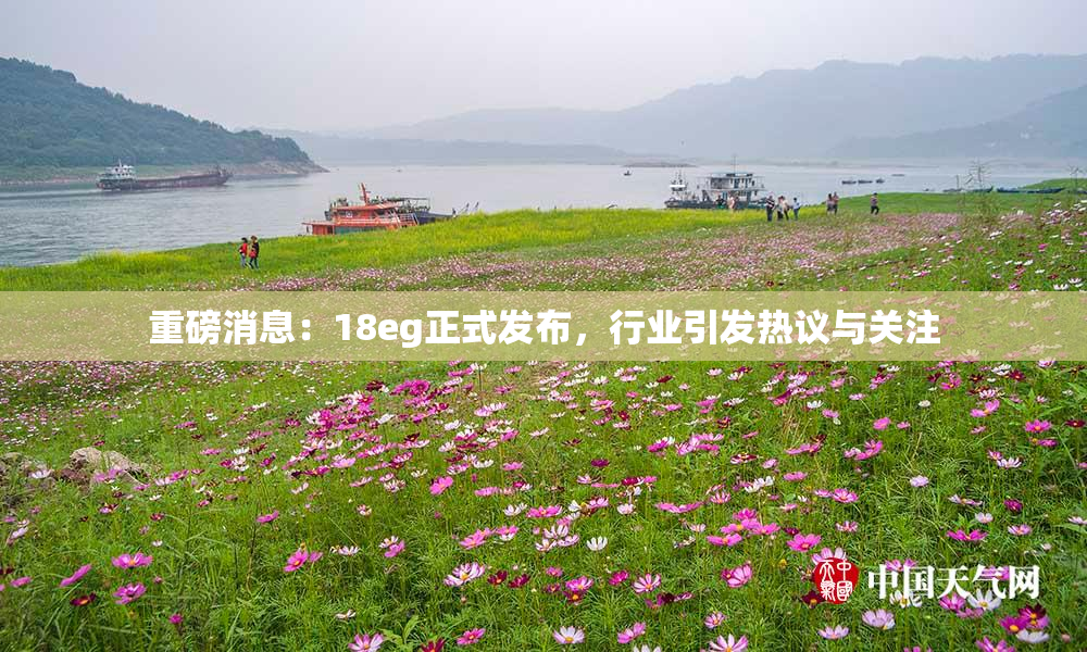 重磅消息：18eg正式发布，行业引发热议与关注