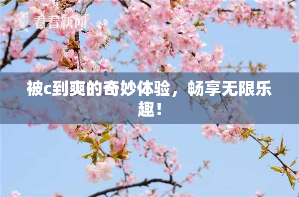 被c到爽的奇妙体验，畅享无限乐趣！