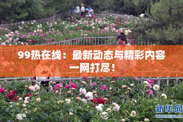 99热在线：最新动态与精彩内容一网打尽！