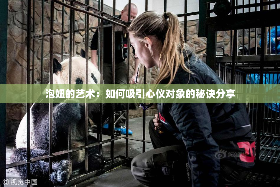泡妞的艺术：如何吸引心仪对象的秘诀分享