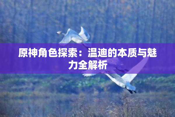 原神角色探索：温迪的本质与魅力全解析