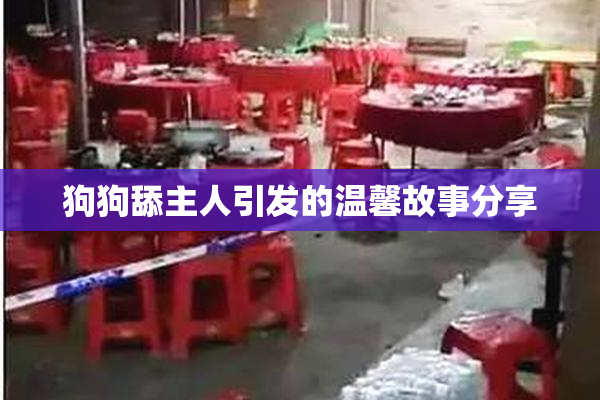 狗狗舔主人引发的温馨故事分享
