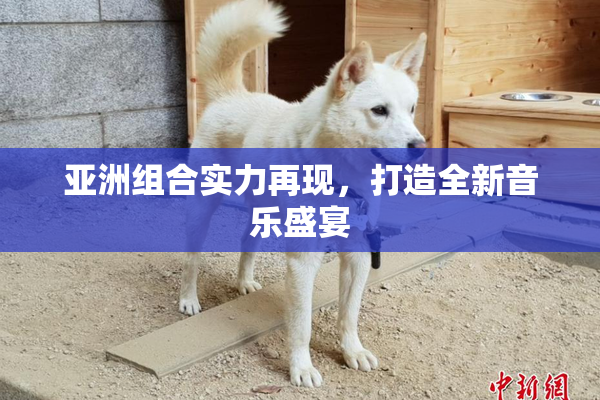 亚洲组合实力再现，打造全新音乐盛宴