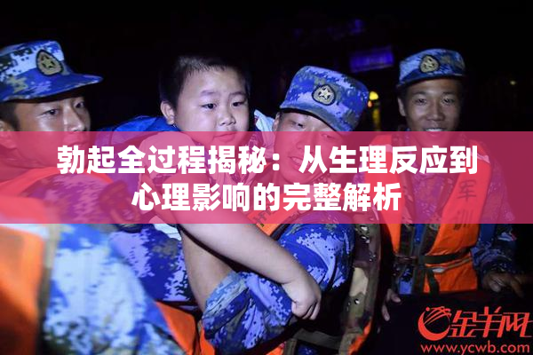 勃起全过程揭秘：从生理反应到心理影响的完整解析