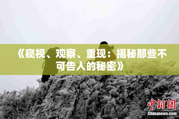 《窥视、观察、重现：揭秘那些不可告人的秘密》