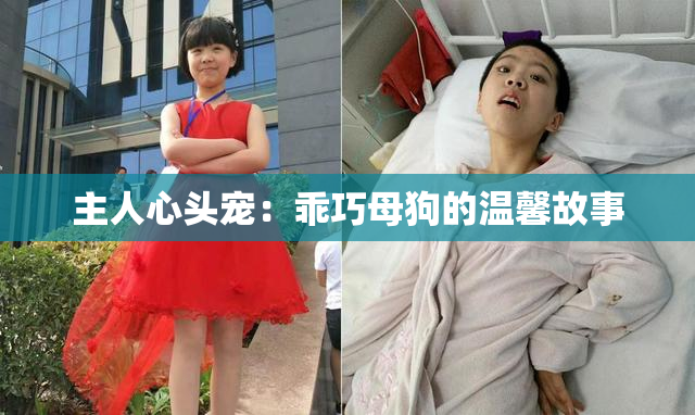 主人心头宠：乖巧母狗的温馨故事