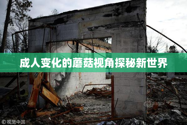 成人变化的蘑菇视角探秘新世界