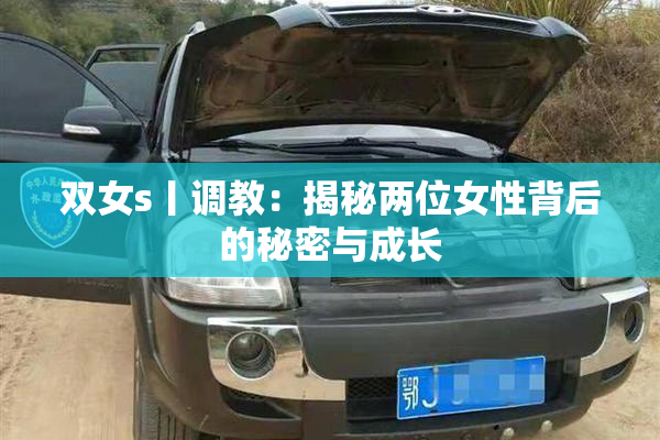 双女s丨调教：揭秘两位女性背后的秘密与成长